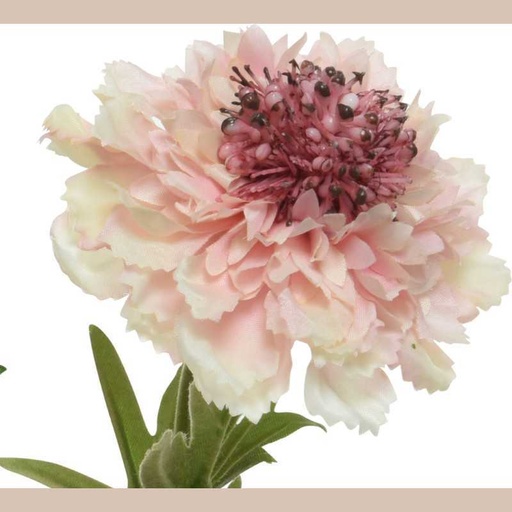 Fleur polyester
