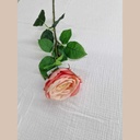 Rose polyester