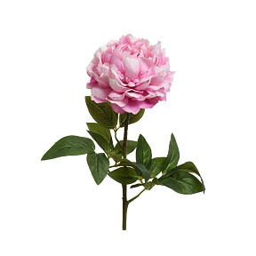 Pivoine sur tige polyester