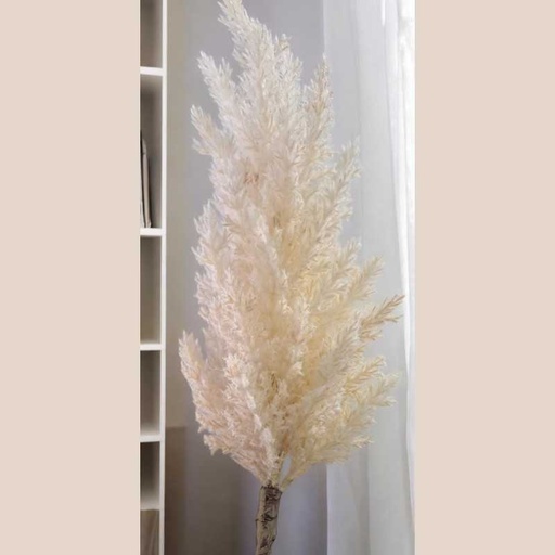 Herbe de la pampa plastique
