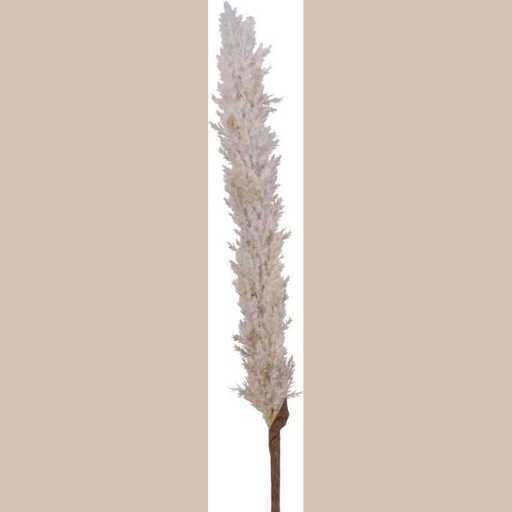 Herbe de la pampa sur tige plastique