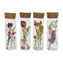 Tube verre liege- etiquette papier craft