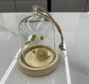 Cloche verre