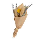 Mini bouquet fleurs sechees colette  17cm