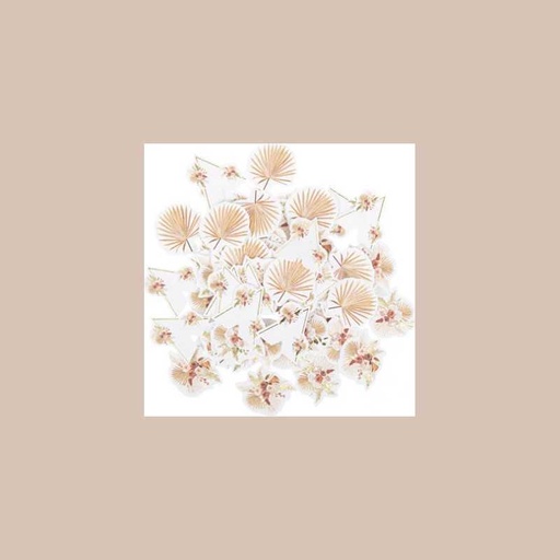 100 confettis coachella mood blancs , terracotta, blush et or de 2,5 à