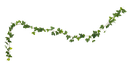 Guirlande de vigne vierge - verte - 2 m