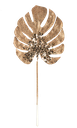 Branche feuille de scindapsus paill ettes bronze 59cm