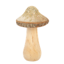 Champignon rustique bois et poussiè re d'étoiles champagne diam 9 x 13