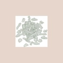 100 confettis greenery papier vert de gris et blanc de 1,5 à 4,5cm
