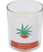 Bougie parfumée benarzo "groseille et chêne" - 170g