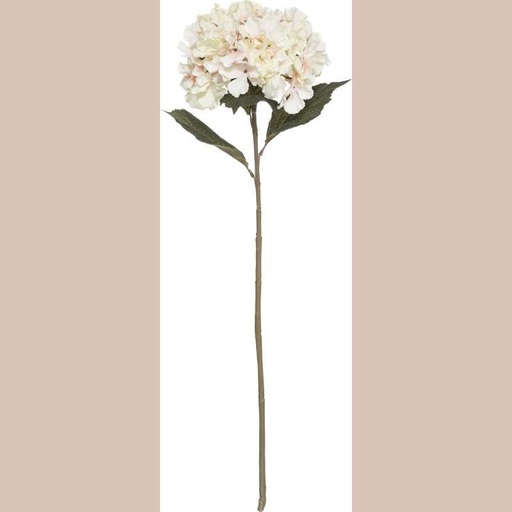 Tige hortensia rose h83