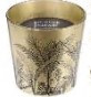 Bougie parfumée dans un  verre