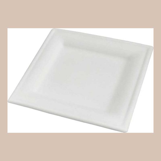 Assiettes canne a sucre carres 20.5cm x 30