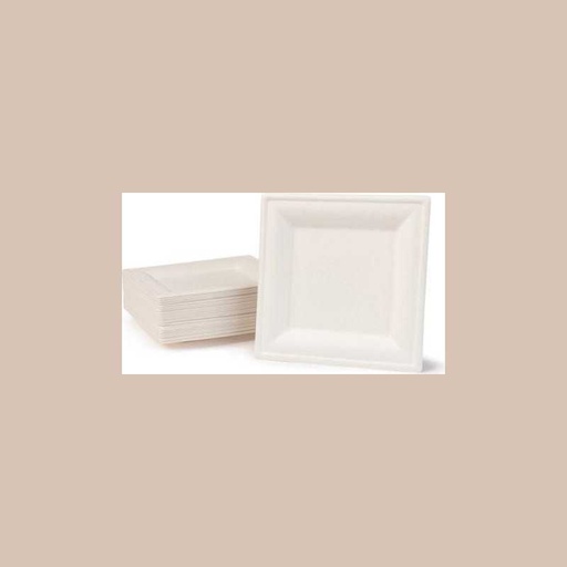 Assiettes carrées 25.5cm 100% canne a sucre x 30
