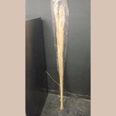 Fleur de canne blanche