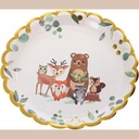 Assiettes kids nature x12