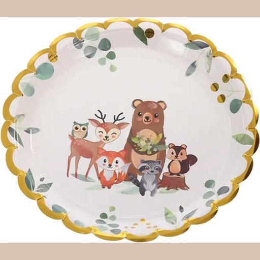 Assiettes kids nature x12