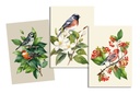 Lydia torchon 50x70 multicolore