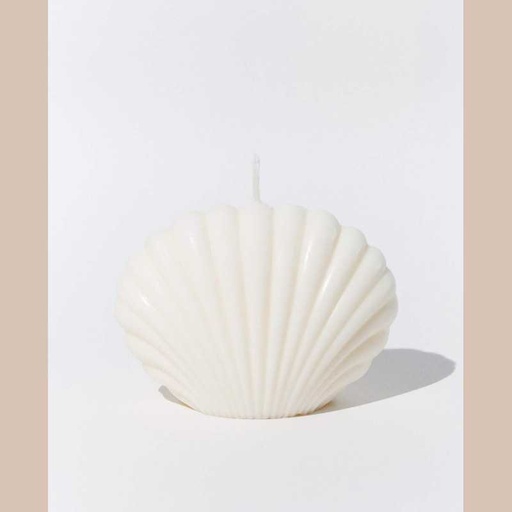 Bougie coquillage blanc