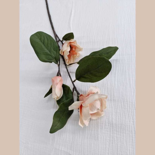 Tige magnolia