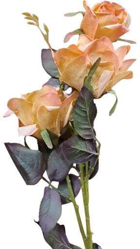 Tige rose jaune