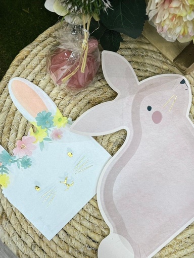 Serv lapin x16
