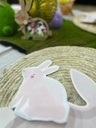 Serv lapin x16 bis