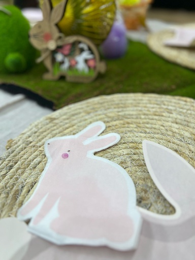 Serv lapin x16 bis