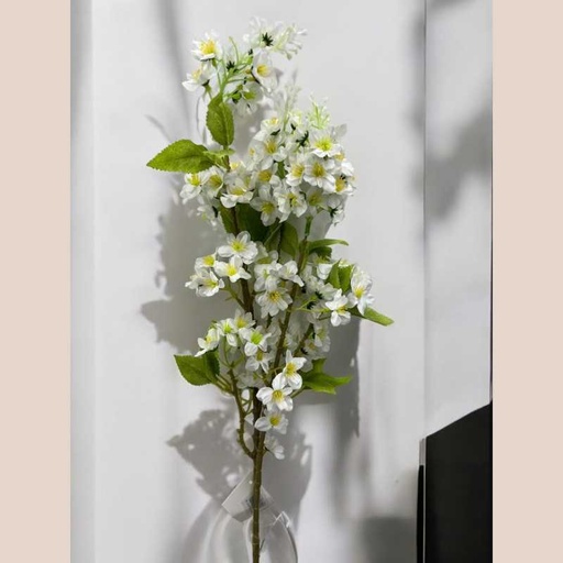 Tige cerisier blanc