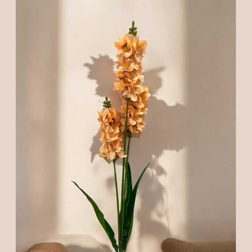 Tige muflier orange