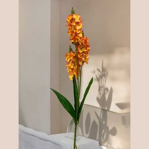 Tige muflier orange
