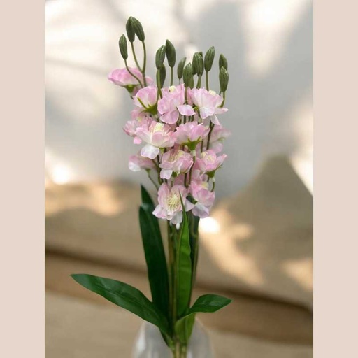 Tige freesia rose