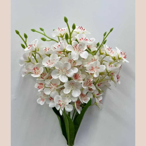 Bouquet alstromeria blanc