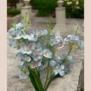 Bouquet alstromeria bleu
