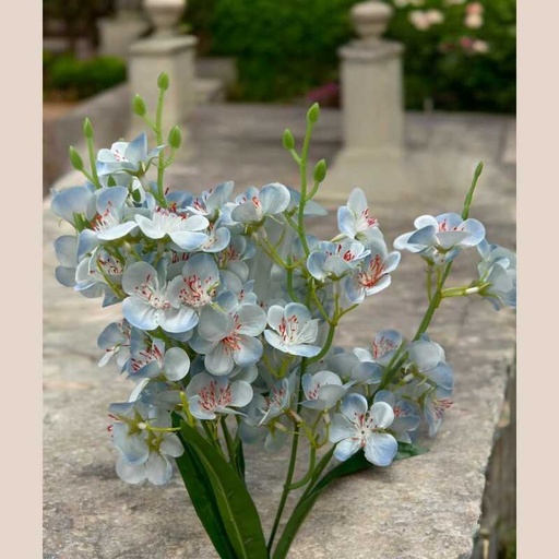 Bouquet alstromeria bleu