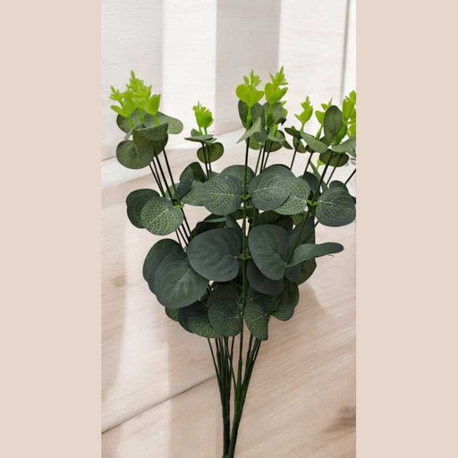 Tige eucalyptus