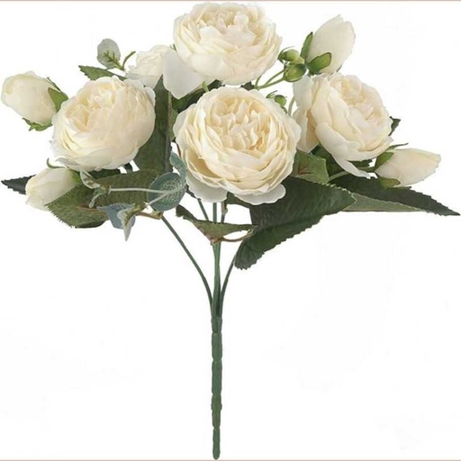 Fleurs