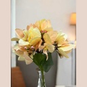 Tige bougaivillier beige