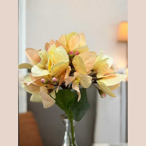 Tige bougaivillier beige