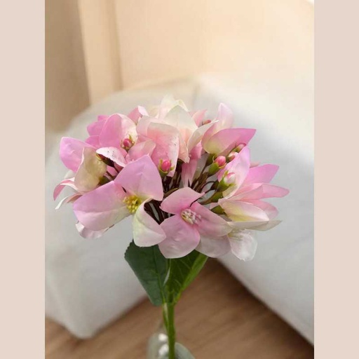 Tige bougaivillier rose
