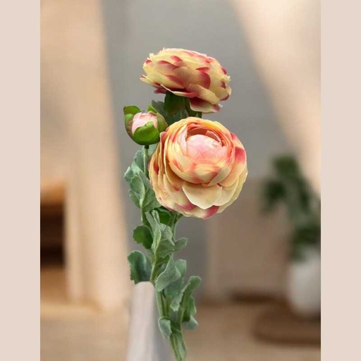 Tige renoncules beige/rose