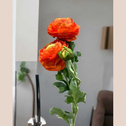 Tige renoncules orange