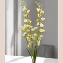 Tige oncidium blanc
