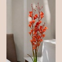 Tige oncidium orange