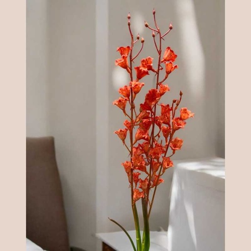 Tige oncidium orange