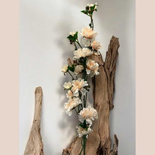 Tige fleur cerisier beige