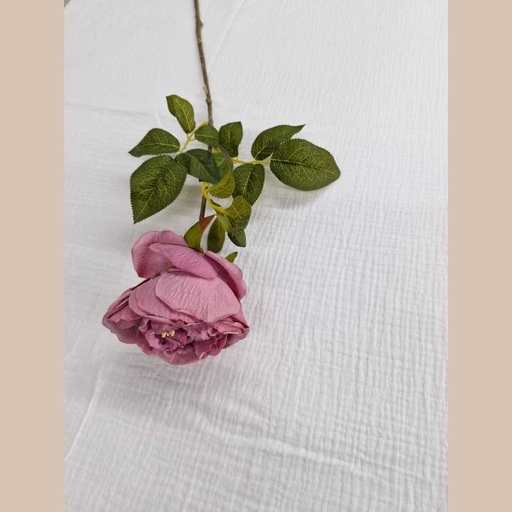Tige de fleurs-rose fonce