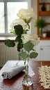 Tiges de 3 roses blanches et rose