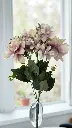 Bouquet de fleurs mauve