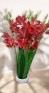 Bouquet d'orchidee  rouge